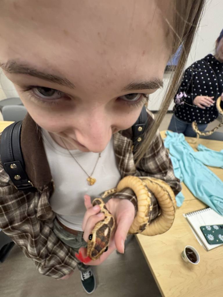 Advanced art students had the opportunity to go to the Loveland Living Planet Aquarium to celebrate their success and apply their drawing skills to real life moving animals. They were able to see a new exhibit (the Asian Cloud Forest), learn about careers in this field through fun activities, and draw beautiful sketches of sea life. It was an amazing time, and Ms. Park was delighted to spend one of the last days of the semester with such talented, thoughtful artists! 