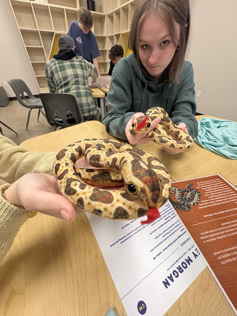 Advanced art students had the opportunity to go to the Loveland Living Planet Aquarium to celebrate their success and apply their drawing skills to real life moving animals. They were able to see a new exhibit (the Asian Cloud Forest), learn about careers in this field through fun activities, and draw beautiful sketches of sea life. It was an amazing time, and Ms. Park was delighted to spend one of the last days of the semester with such talented, thoughtful artists! 