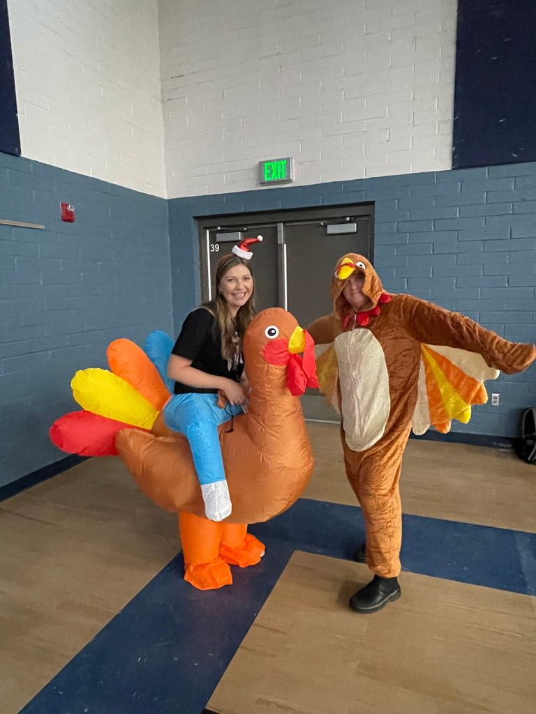 Two cute turkeys team picture