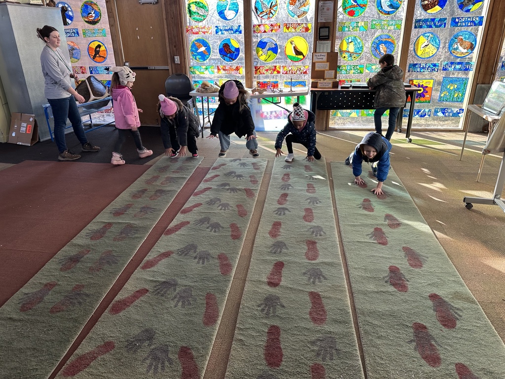 4 students exploring how animals move through different patterns