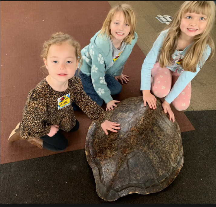 Three students with a tortoise. 