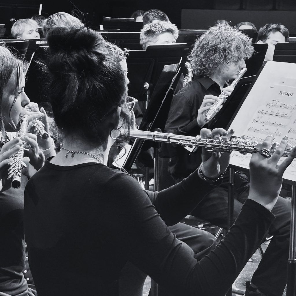 photographs of roy jr students at the district honor band performance. 