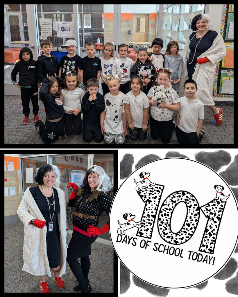 A collage celebrating 101 days of school. The top photo shows a large group of kindergarten students posing with their teacher, who is dressed as Cruella de Vil with a black-and-white wig and red gloves. The bottom-left photo shows two teachers in Cruella de Vil costumes. The bottom-right features a circular logo with dalmatian-spotted numbers "101" and small dalmatian puppies.