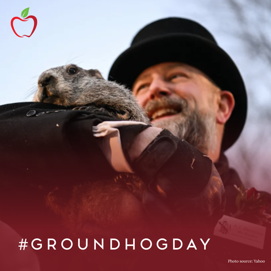 Photo of ground hog