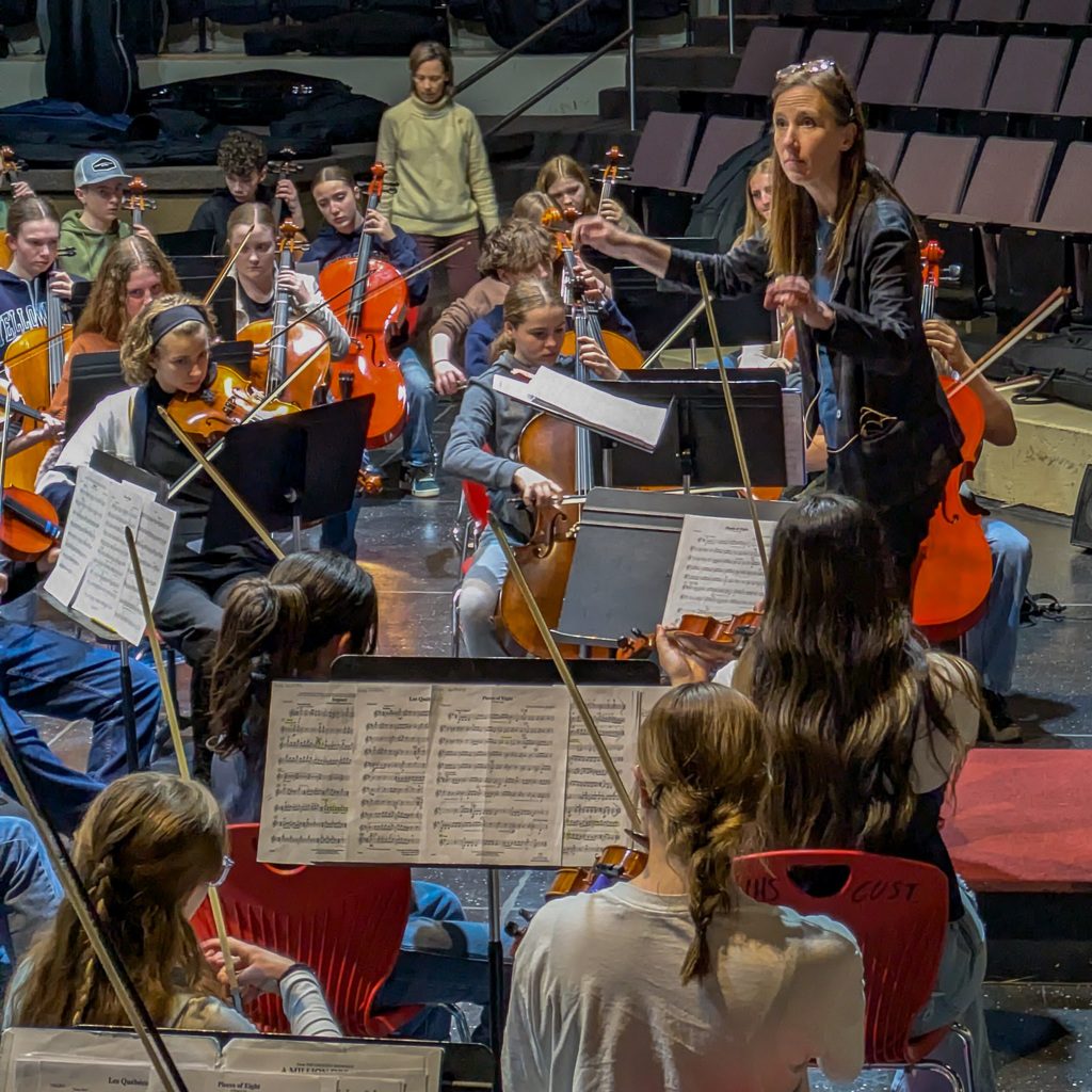Honor Orchestra musicians.