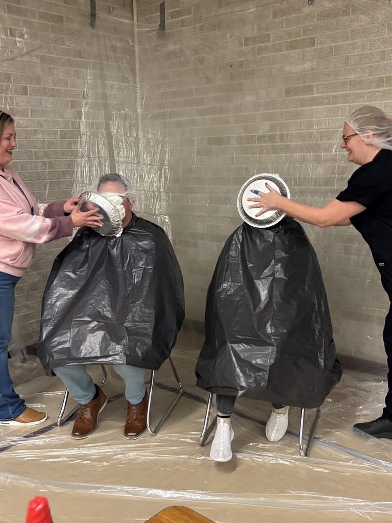 Pie in the Face
