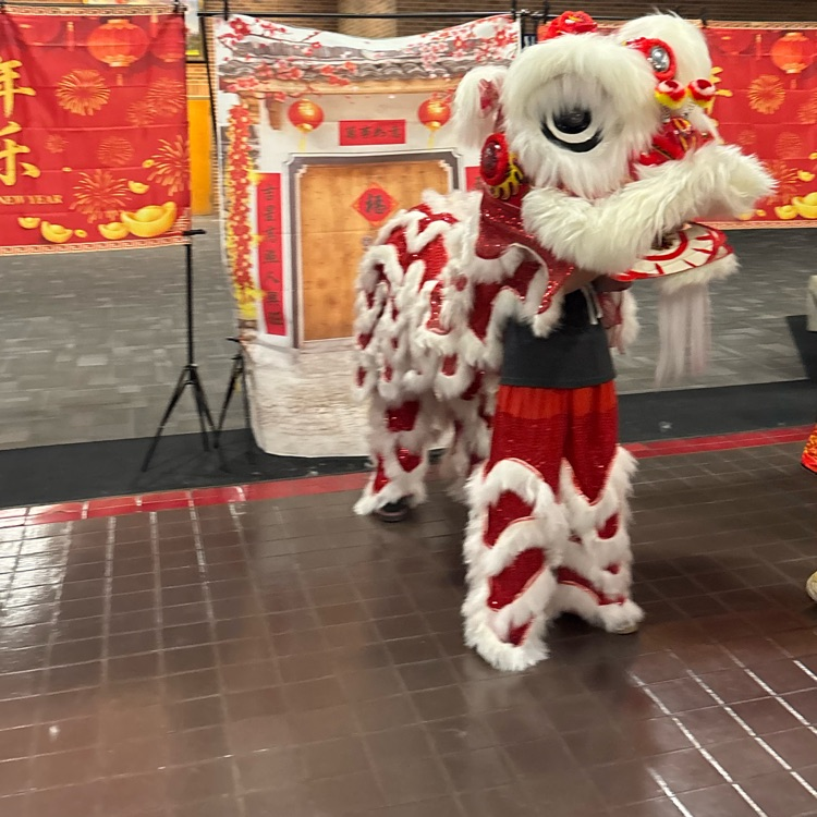 Weber High students dressed up as a red and white Chinese dragon with a chinese backdrop 