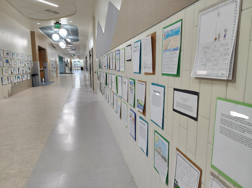 A long, brightly lit school hallway with white tiled walls and light-colored flooring. Dozens of student writing assignments and drawings are mounted on colorful construction paper (green, blue, and brown) and displayed in a neat row along the wall. One visible essay titled "Being a Haven Bay Heron" says: "To me, being a Heron means to be helpful. I help my friends make good choices." An "EXIT" sign is visible hanging from the ceiling in the distance.