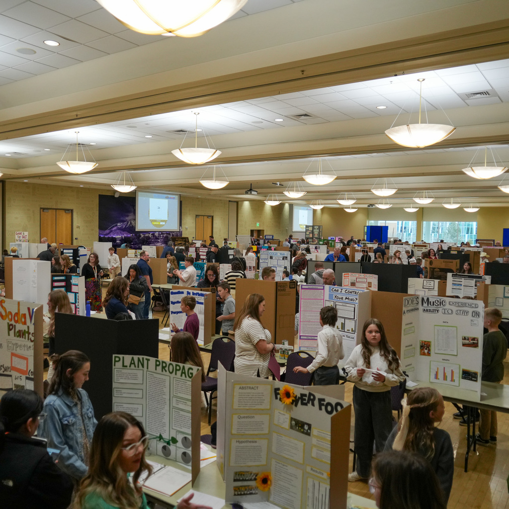 Stem Fair students standing with their projects.