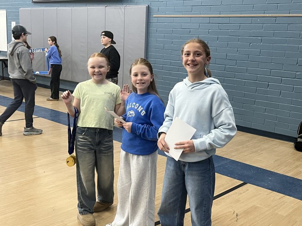 Falcon of the Month Assembly Pictures