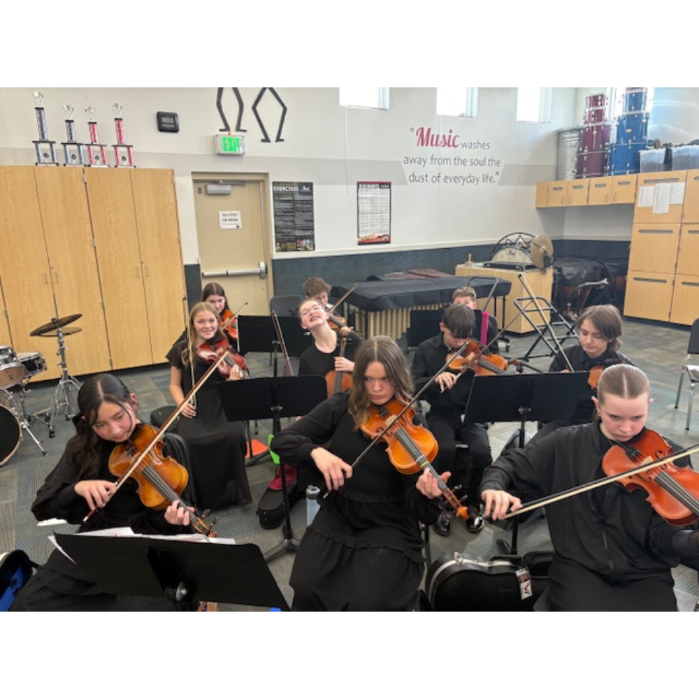 Orion Advanced Orchestra performed at the district festival yesterday. I am so proud of the way they performed and the way they conducted themselves as an audience as well. We earned superior scores from the judges. If you see these students, please tell them congratulations!