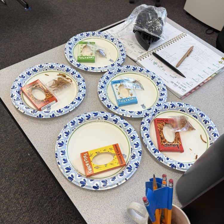 A fine selection of bugs to sample in Ms. Womack’s class