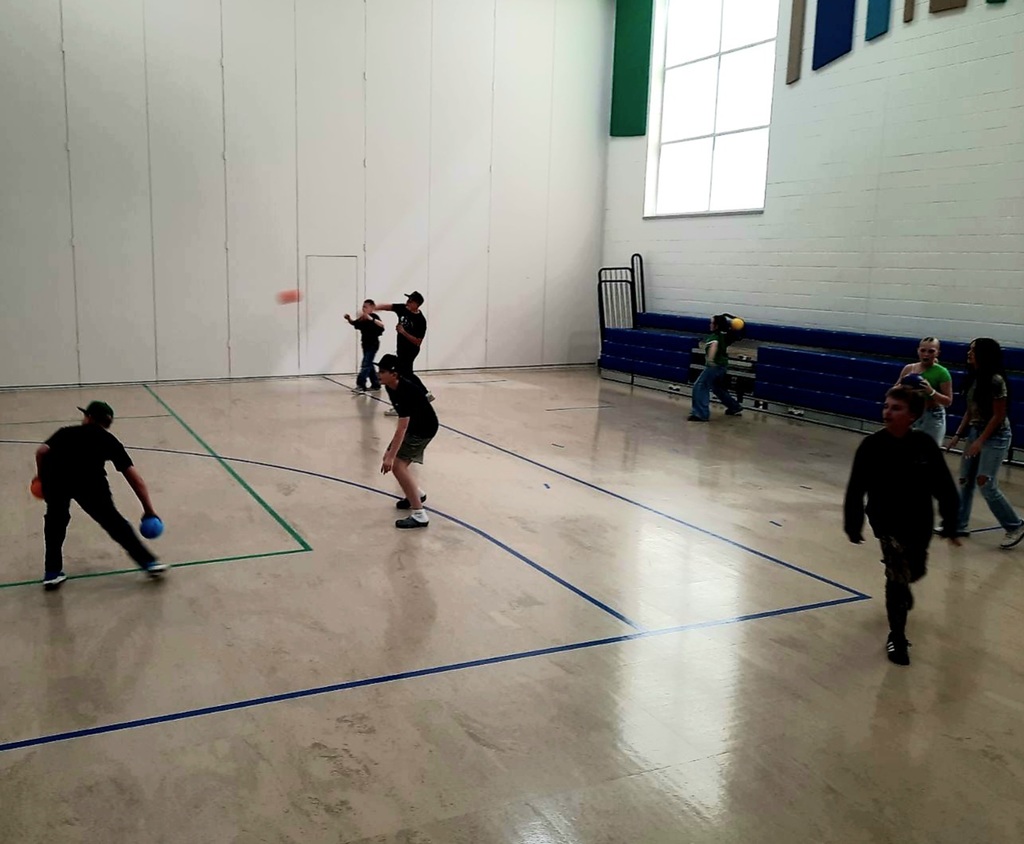 A high-angle shot of students playing a game with colorful balls in a gymnasium. Several boys in black shirts and hats are positioned on the left, one reaching for a blue ball on the floor while a red ball flies through the air nearby. On the right, girls stand near blue bleachers under a large window. The gym features high white walls with green and blue acoustic panels.