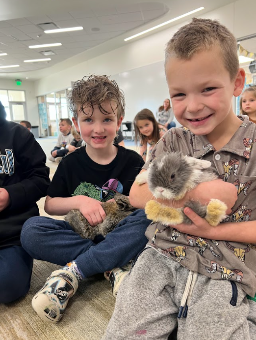 Two young boys sit on a carpeted floor in a bright classroom, smiling while holding small, fluffy rabbits. The boy on the left holds a brown rabbit, and the boy on the right holds a grey and white long-haired rabbit. Other children are visible in the background.