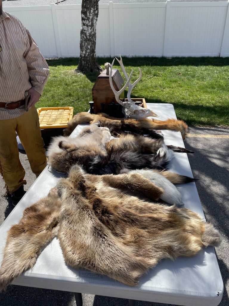 Different animal furs