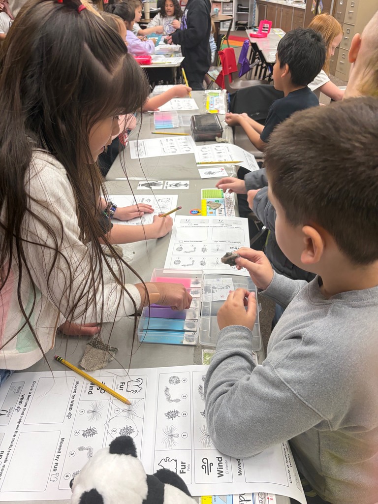 Experimenting with different seeds and animal fur