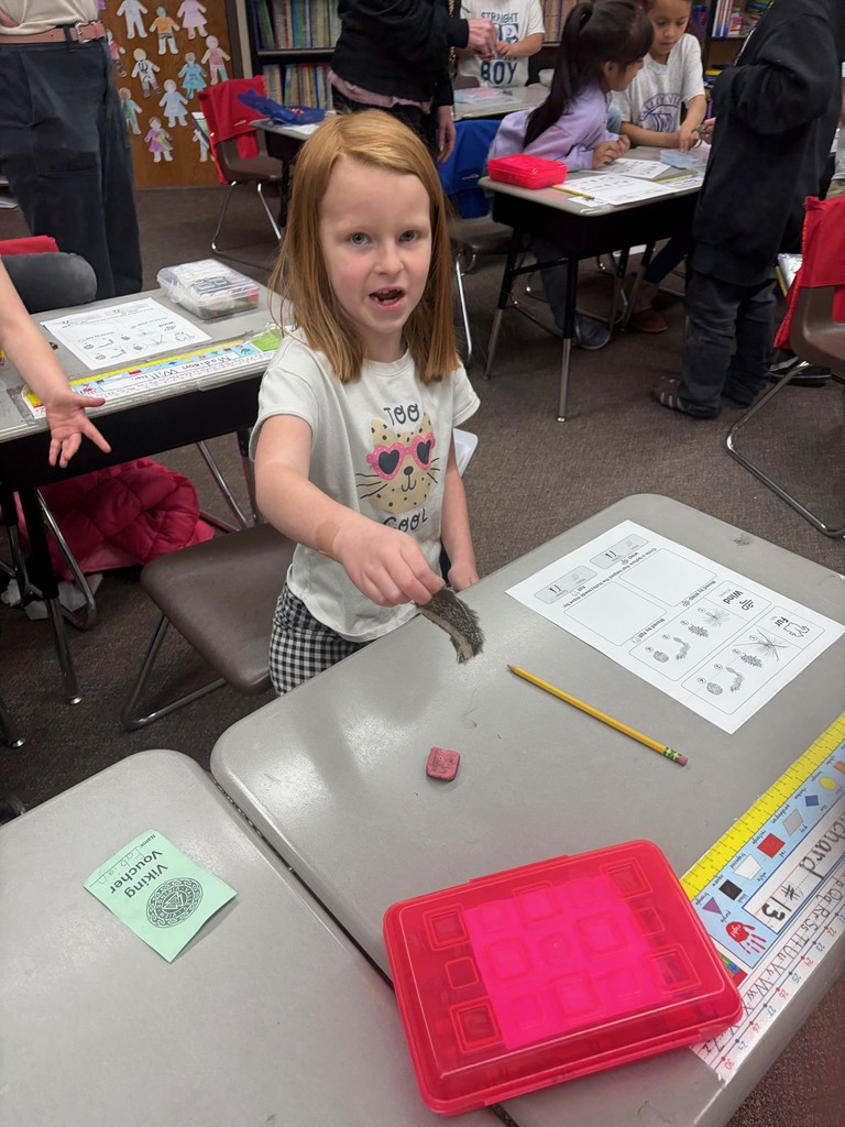 Exploring whether seeds will stick to animal fur