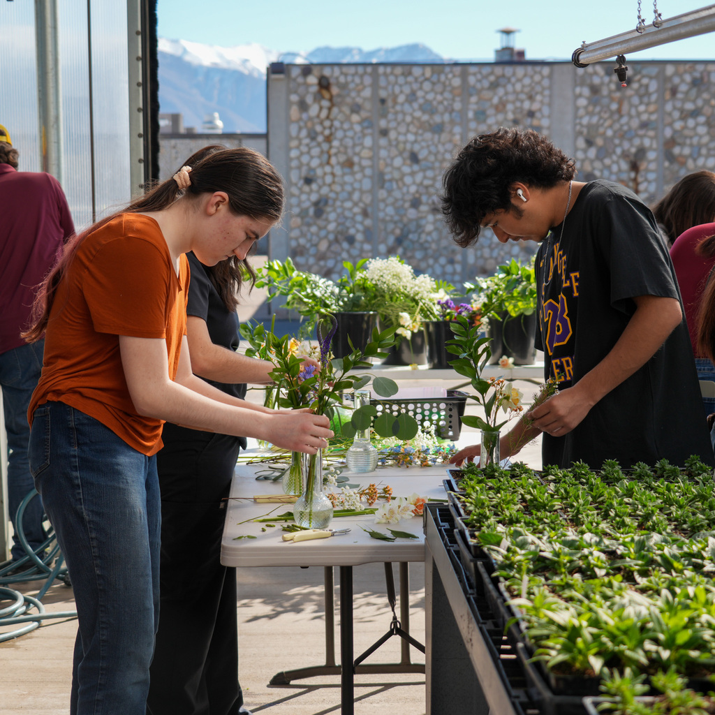Students creating daffodil arrangements and delivering them