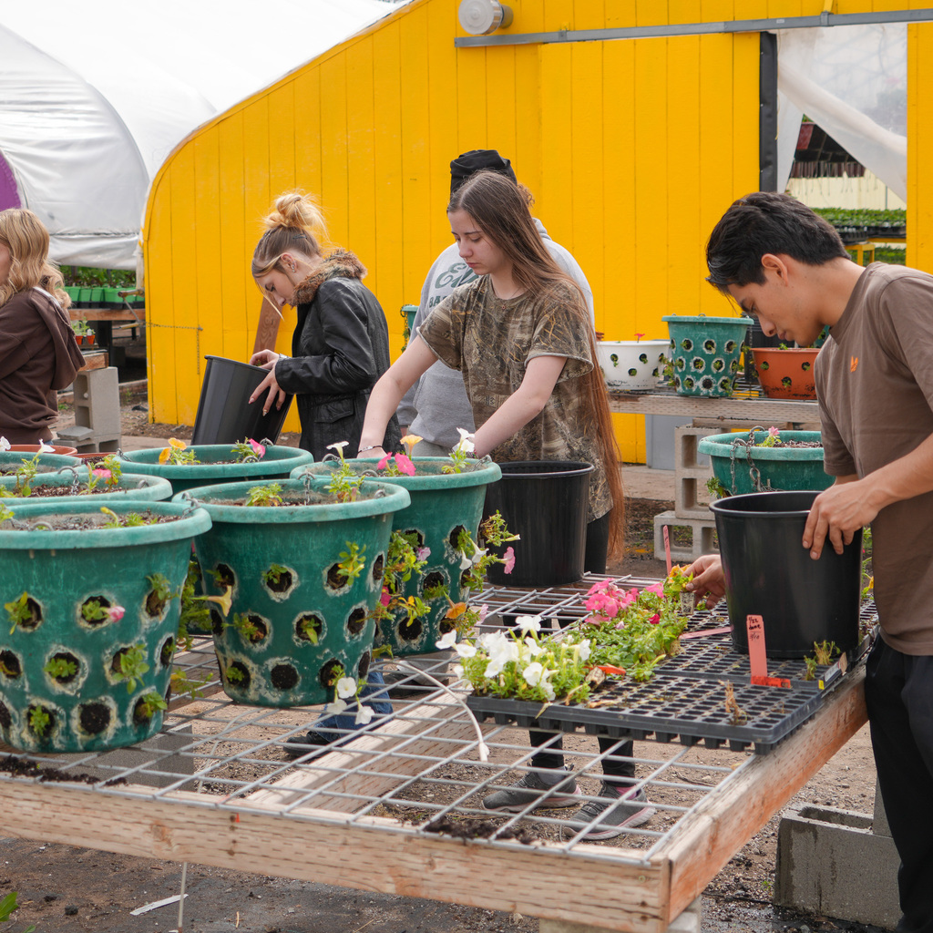 Students creating flower hanging baskets.