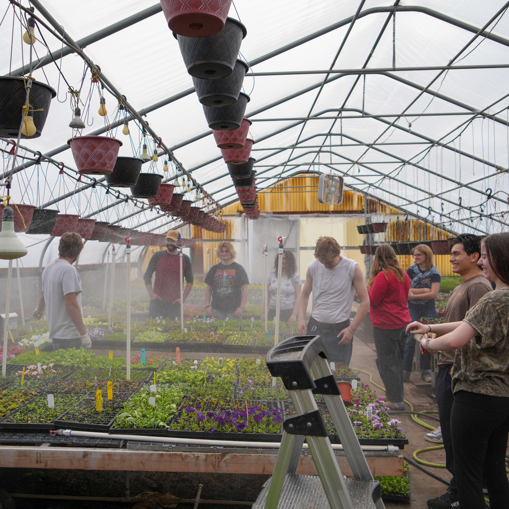 Students creating flower hanging baskets.