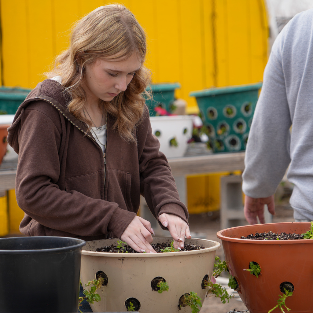 Students creating flower hanging baskets.