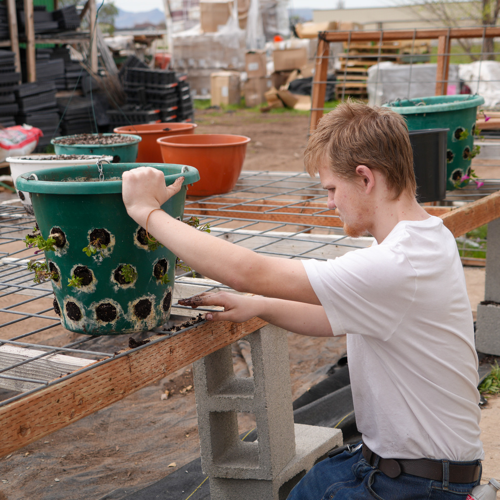 Students creating flower hanging baskets.