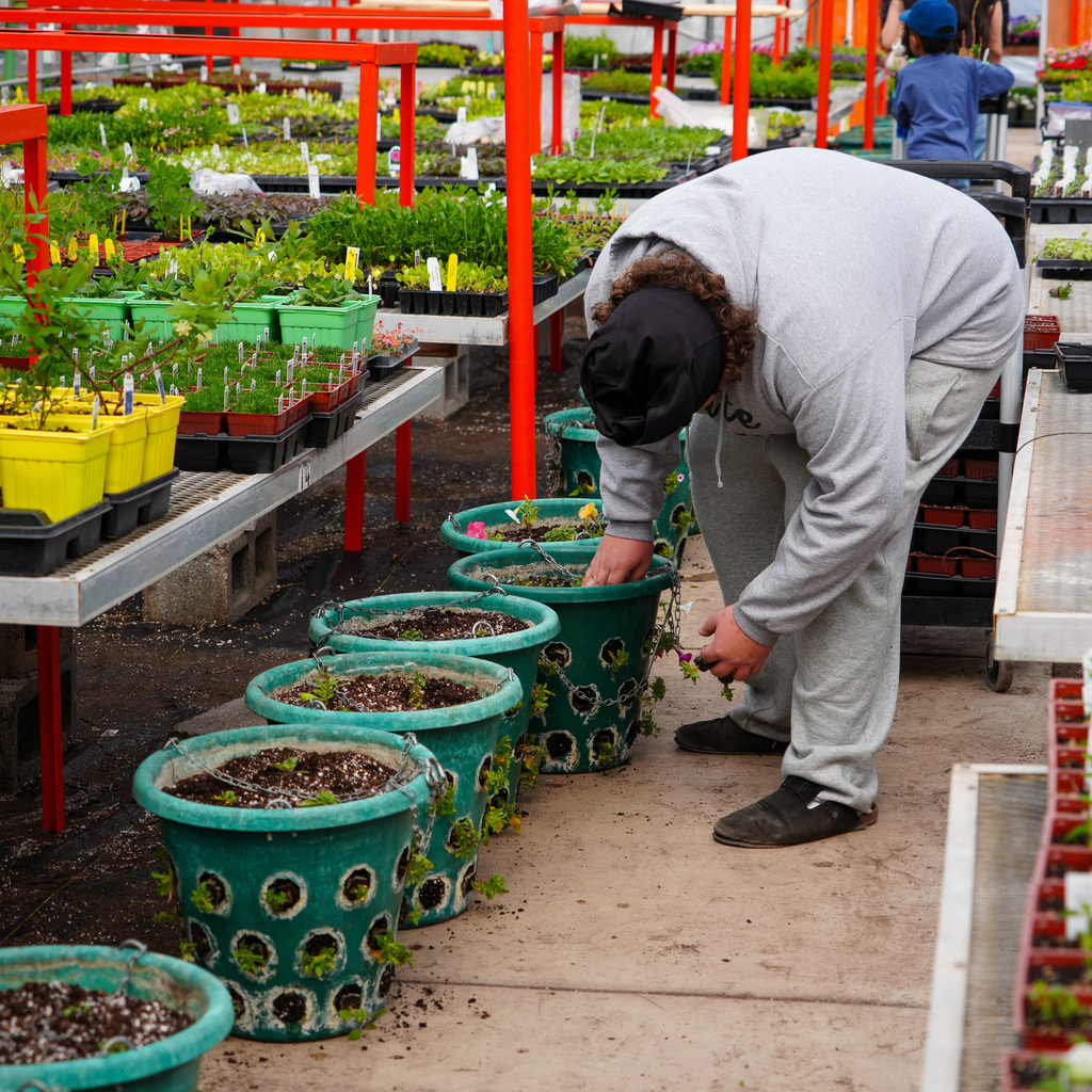 Students creating flower hanging baskets.