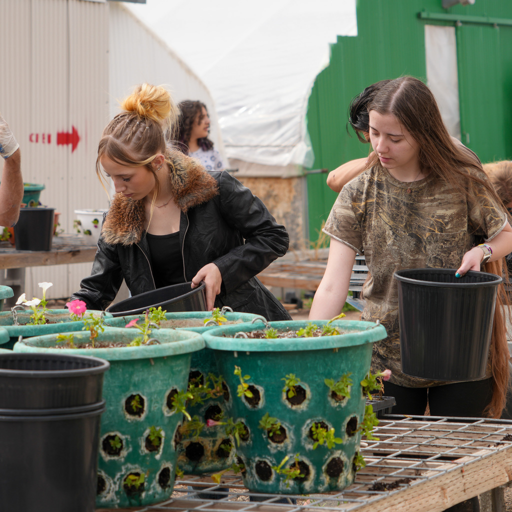Students creating flower hanging baskets.