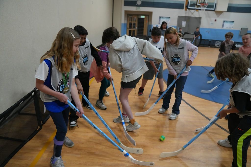 Mammoth Takeover Hockey Photographs 