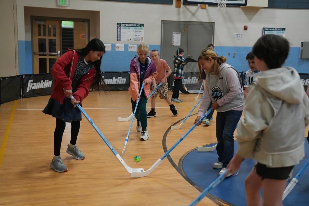 Mammoth Takeover Hockey Photographs 