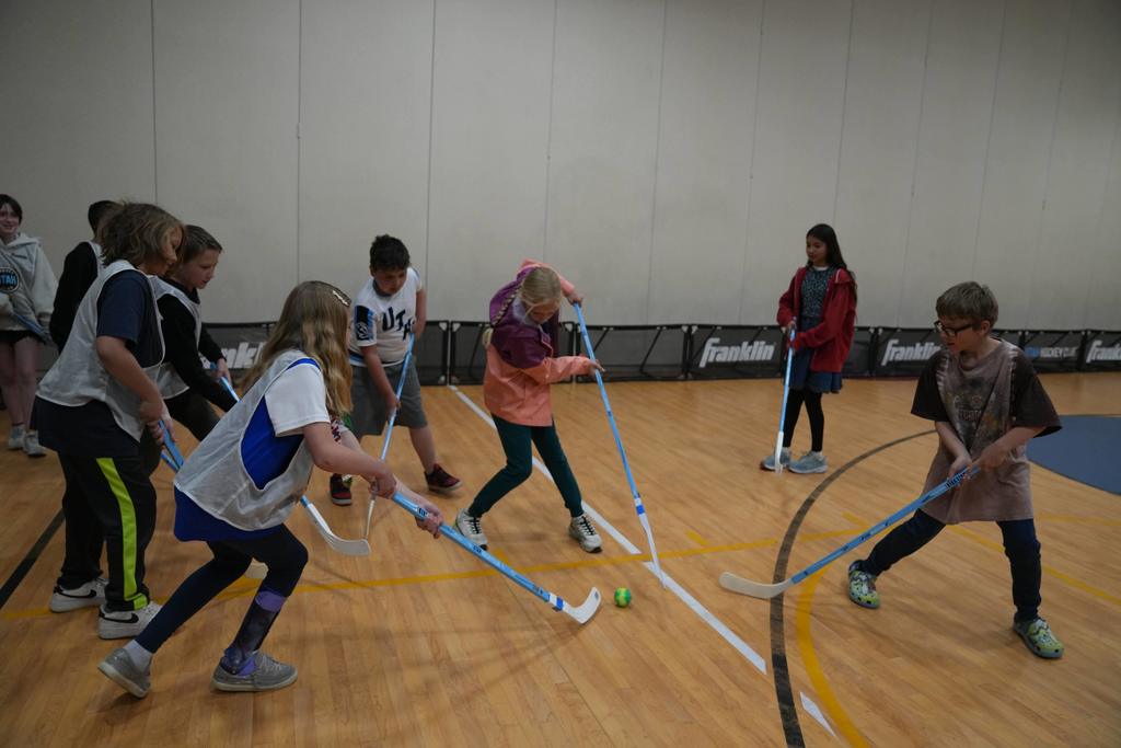 Mammoth Takeover Hockey Photographs 