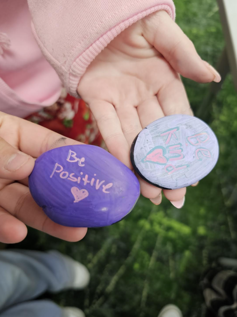 rocks that students painted 