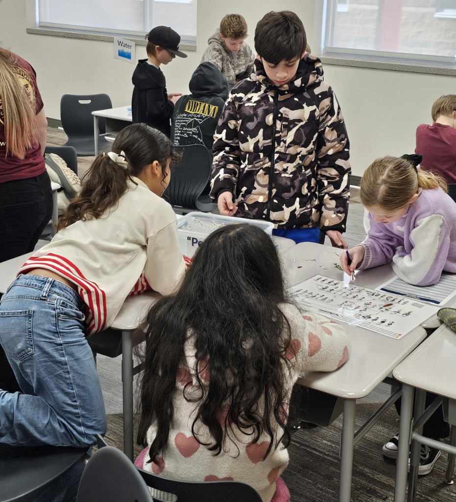 students woking as they work on a project from the bird refugee