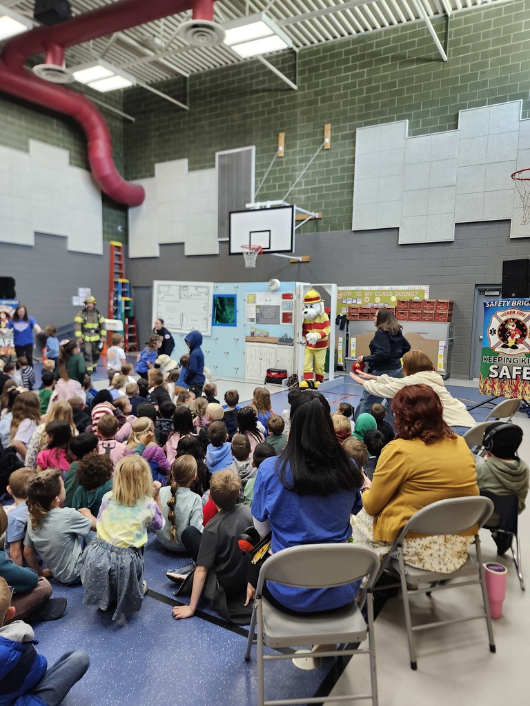 Weber Fire Presentation assembly. 