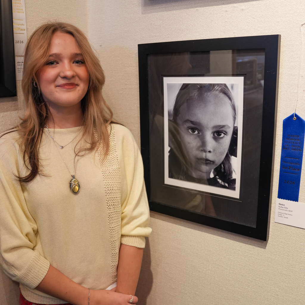 District art show artists.