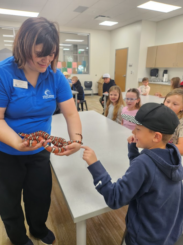 Annie, an aquarium educator in a blue polo, holds a coiled kingsnake as a young boy in a dark blue Nike hoodie and a black baseball cap points at it. Several other children are lined up along the table waiting for their turn.