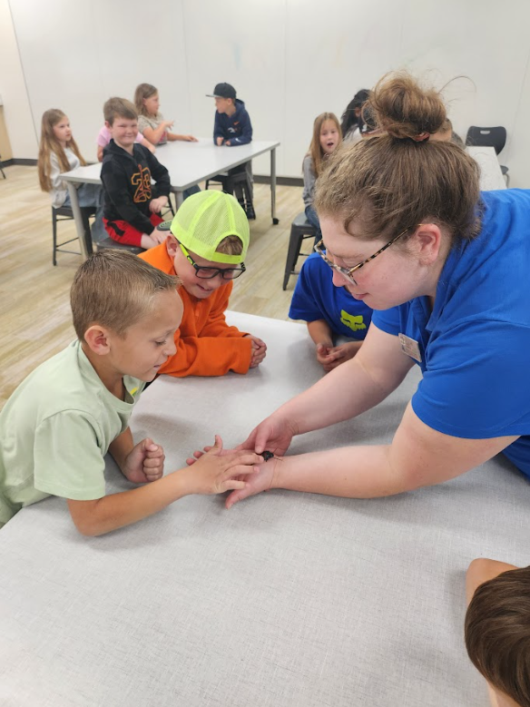 A presenter in a blue aquarium shirt and glasses carefully places a small black insect onto the hand of a young boy in a pale green t-shirt. Beside him, a boy in a bright orange shirt and a neon yellow hat watches closely.