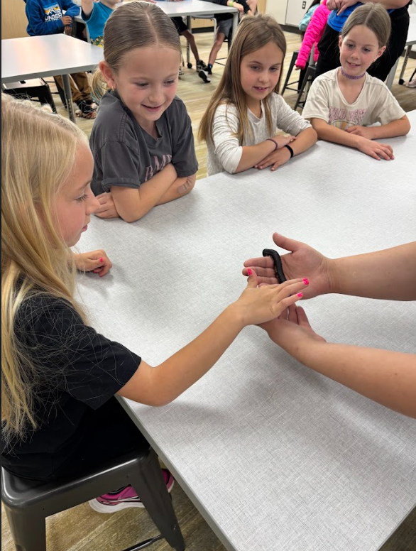 A close-up of a presenter's hands holding a large, black millipede over a white table. A young girl with long blonde hair and pink nail polish gently touches the insect while three other young girls watch from across the table.