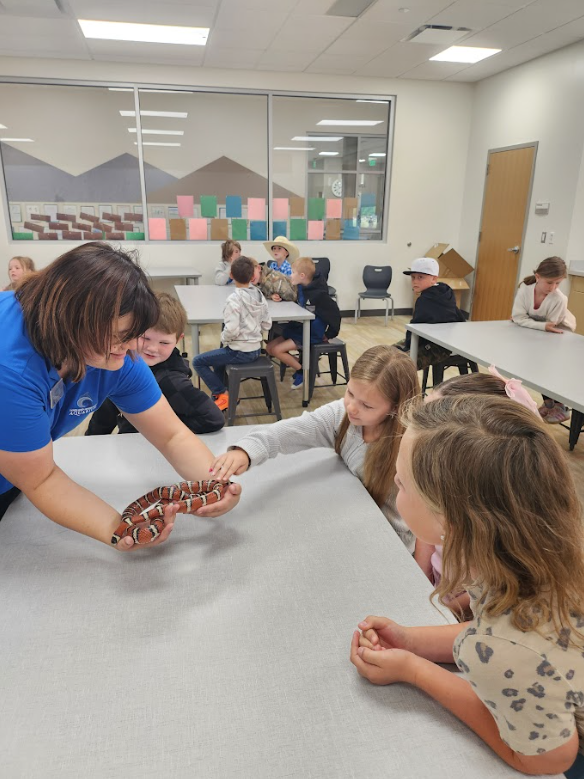 A woman named Annie in a blue aquarium polo shirt holds a red, black, and white striped milk snake for a group of children. One girl in a light-colored sweater reaches out to touch the snake's scales. The background shows colorful papers taped to a glass partition.