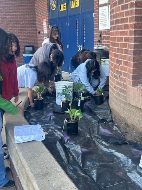 Students planting the flower beds in front of the school.