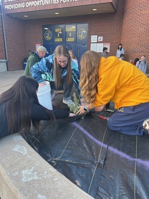 Students planting shrubs and flowers in front of the school.