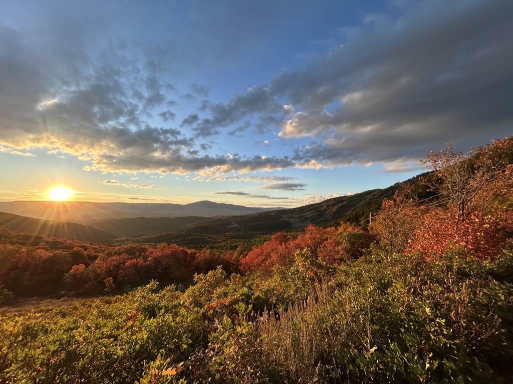 Mountain Side