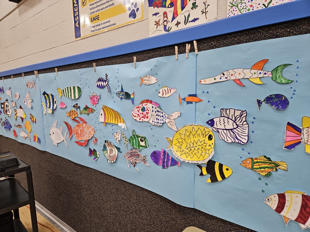 A long bulletin board display titled "Rainbow Connection" featuring dozens of colorful, hand-drawn fish created by students.