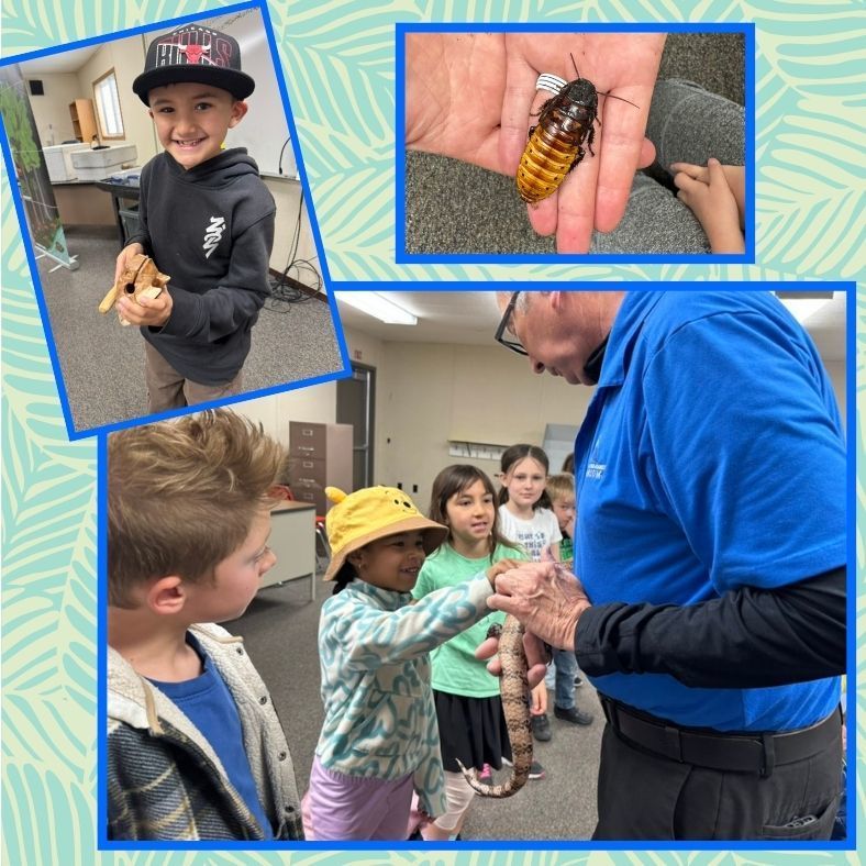 students looking at a skink and a cockroach