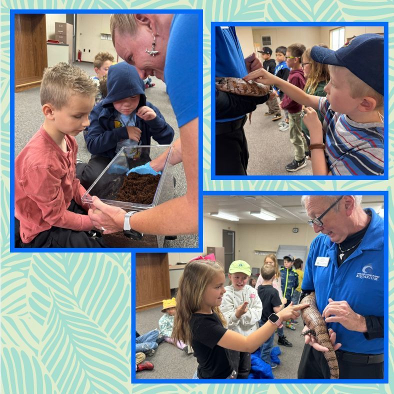 students looking at a skink and a horned toad