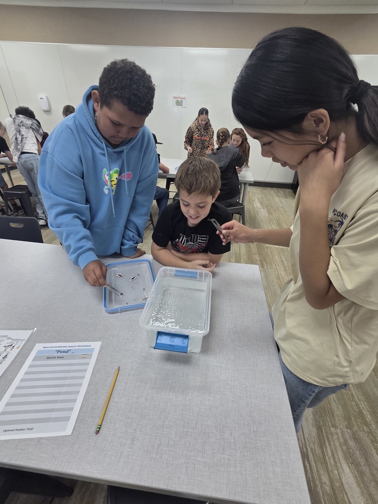 Three students stand around a table during a science lab. A student in a blue hoodie uses tweezers to move small specimen models from a blue plastic lid into a clear tub of water. A girl in a tan shirt watches intently with her hand to her chin. On the table sits a pencil and a blank Macroinvertebrate Search Worksheet for "Pond". In the background, other students work at various stations under a sign that reads Wetland.