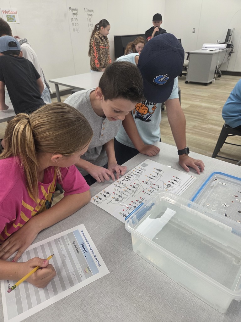 Three students collaborate at a gray lab table. Two boys look closely at a laminated identification key showing different species, while a girl in a pink shirt writes on a Macroinvertebrate Search Worksheet labeled "Pond". The worksheet contains handwritten entries for Species Name such as "Leeches" and "Dragon fly" with the color "Yellow" noted. A clear tub of water with specimen models sits nearby. A sign on the distant wall reads Wetland.