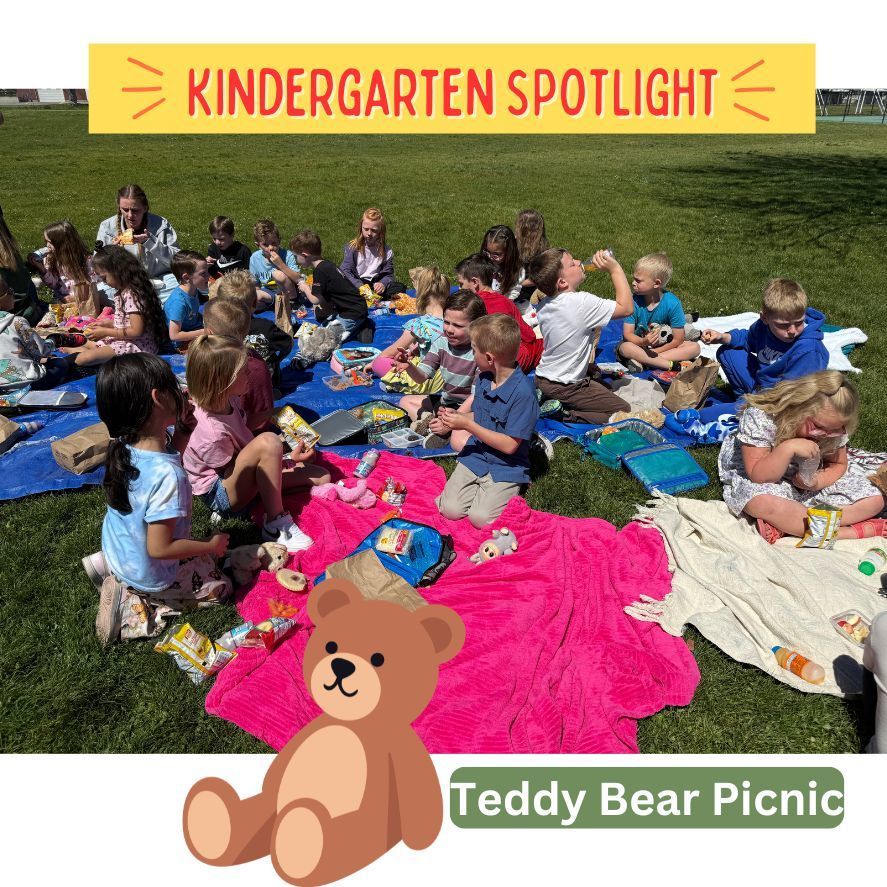 kindergarten spotlight- Teddy bear picnic