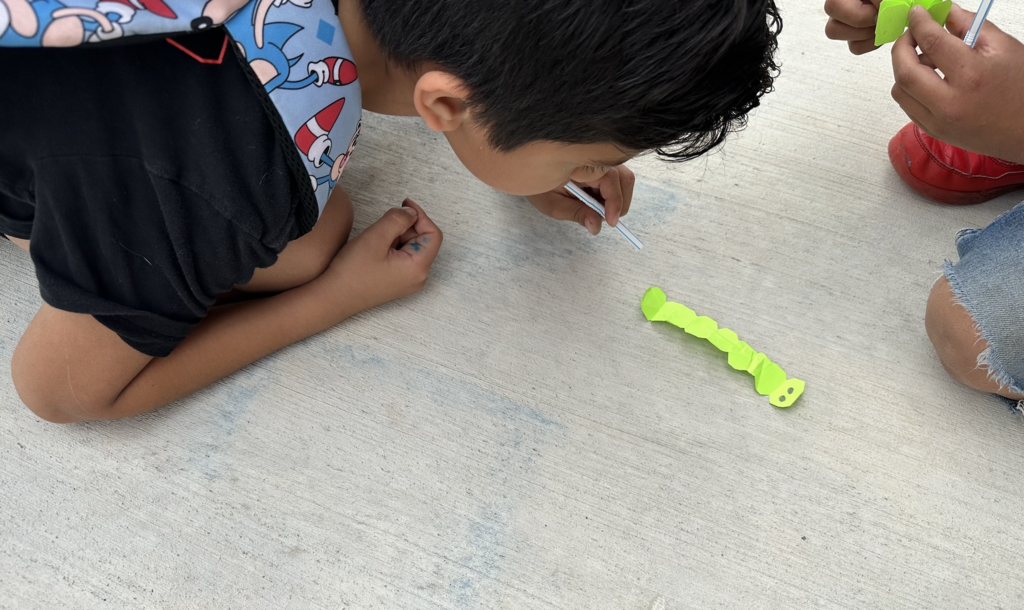 student using a straw to make the paper caterpillar crawl along the ground