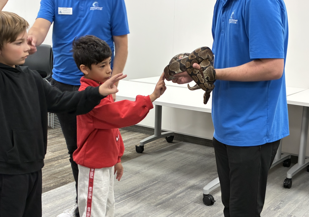 a student petting a snake